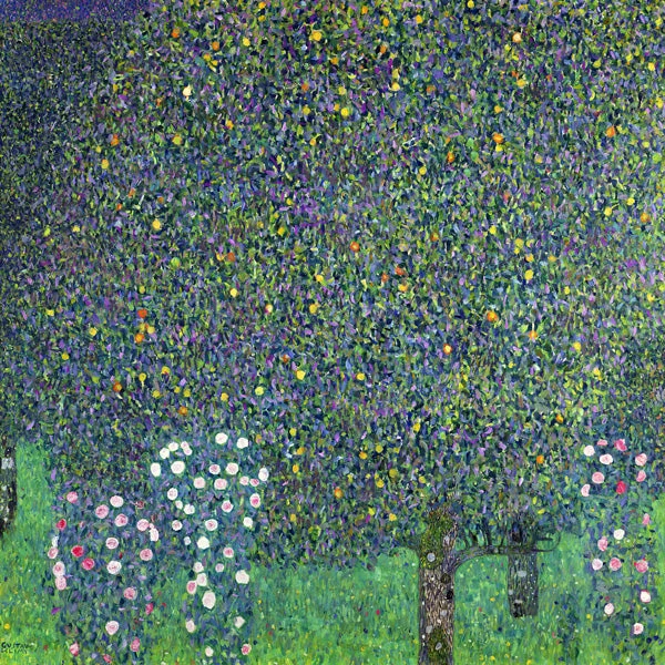 Rose sotto gli alberi