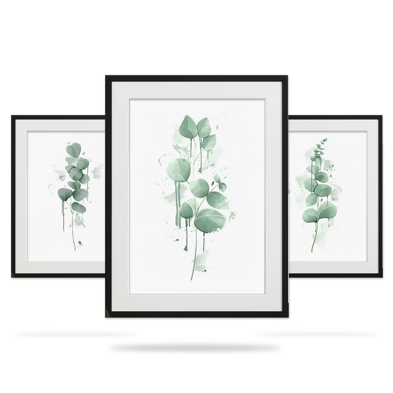 The Eucalyptus Leaf Collection