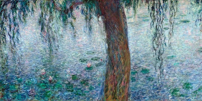 Morning with Weeping Willows I