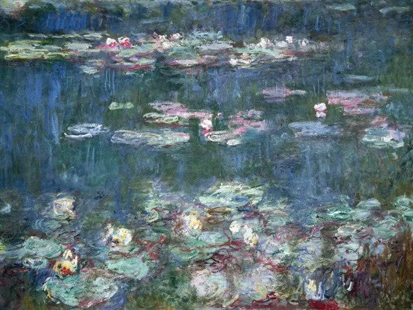 Water Lilies