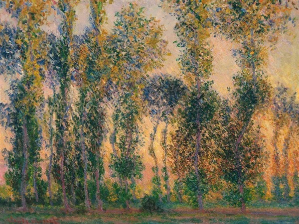 Les Peupliers à Giverny au Lever du Soleil