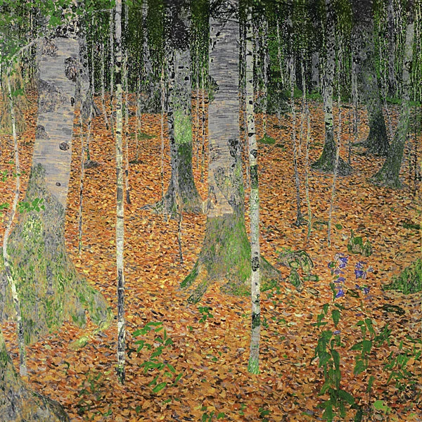 Il bosco di betulle