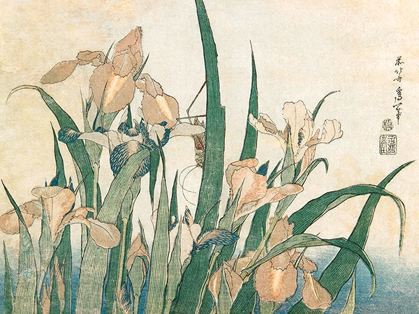 Iris e Cavalletta, 1833-1834.