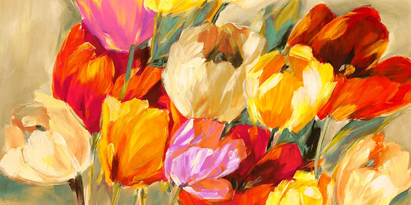 Field of Colorful Tulips