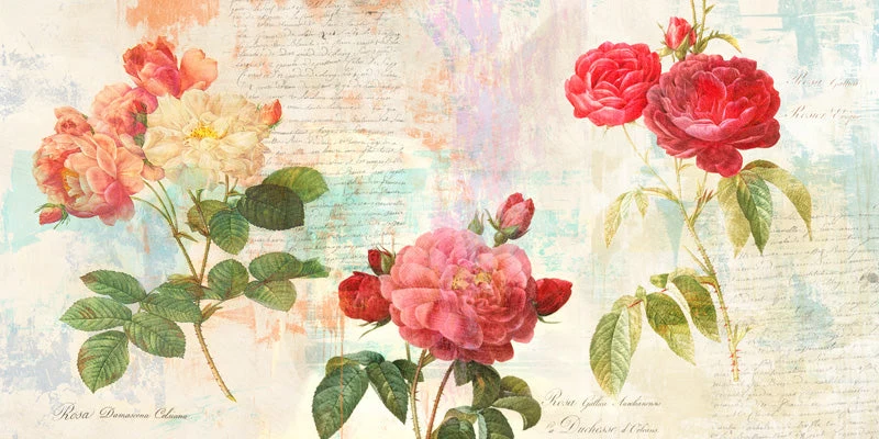 Redouté's Roses 2.0