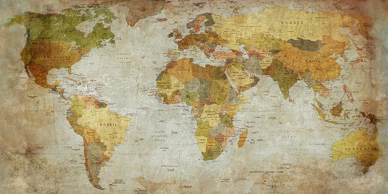 Anima Mundi