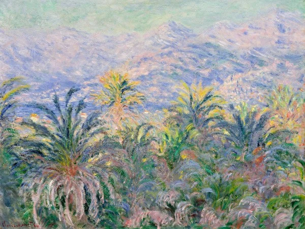 Palmiers à Bordighera