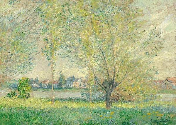 Weeping Willows