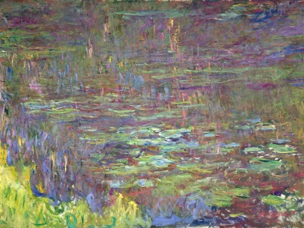 Detail of Water Lilies at Sunset