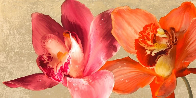 Due orchidee