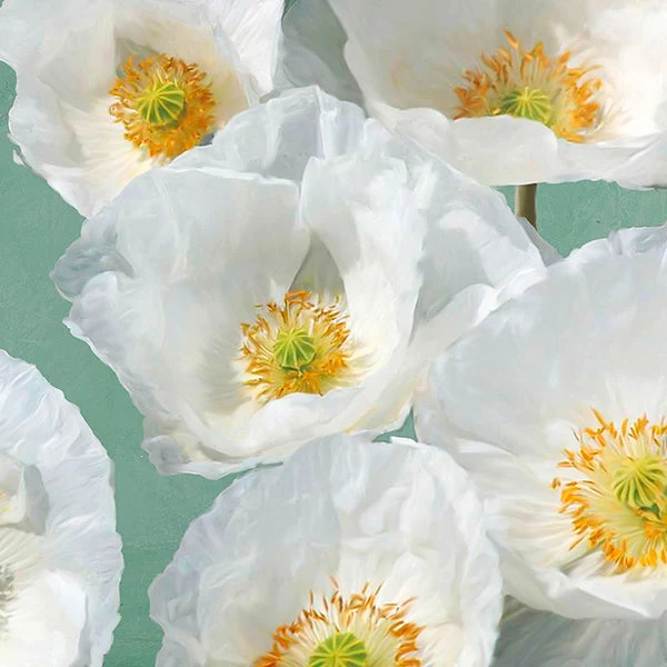 Poppies on Mint II