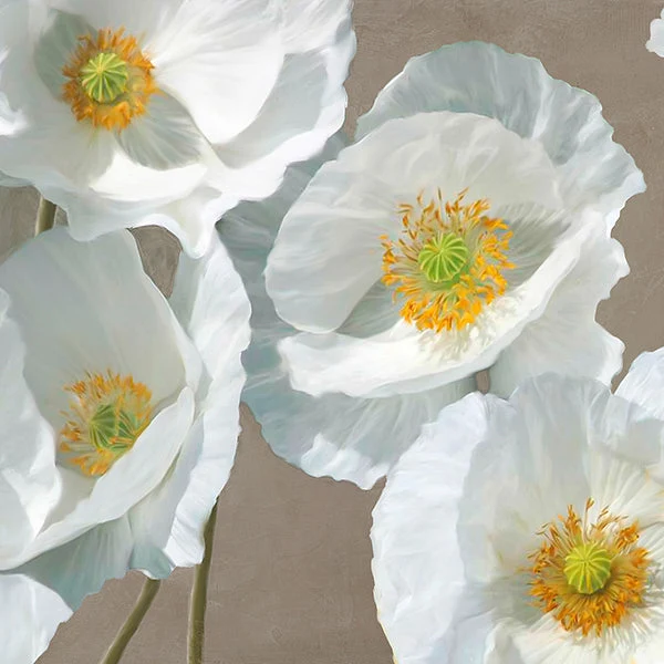 Poppies on Taupe I