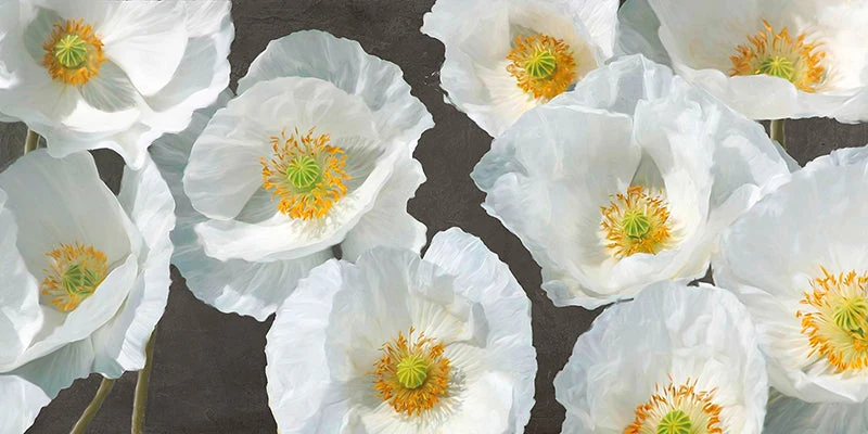 Poppy Arrangement (Chalkboard)