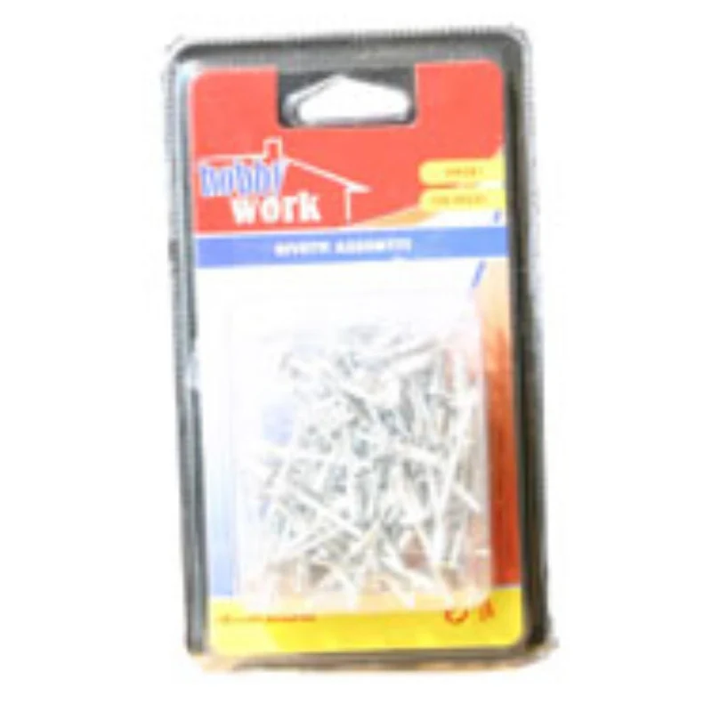 Set 100 Rivetti Assortiti in Alluminio Misure da 2,4 a 4,8 mm
